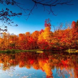 Meet your Posher, Kristina